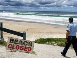 Australie : 2 attaques de requin en 24 heures sur la Côte Est