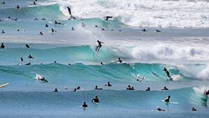 Australie : une idée surprenante pour réguler le nombre de surfeurs à l’eau