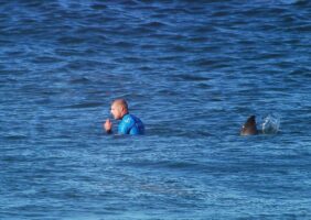 J-Bay : les solutions anti-requins de la WSL pour protéger les surfeurs