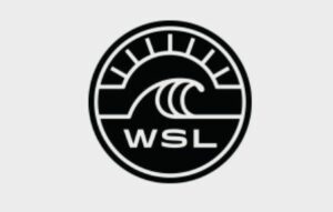 Qu’est-ce que la WSL  ? La surprenante réponse de Wikipedia