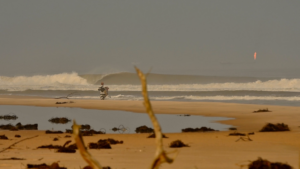 Lost In The Swell : La gauche de Bambi