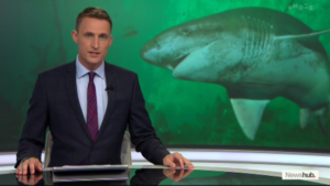 Une française mordue par un requin en Nouvelle-Zélande