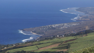 Requins : nouvelle attaque mortelle à La Réunion