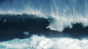 Jordy Smith ne craint pas les requins