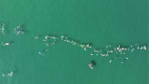 Un cercle de 1000 surfeurs contre la pollution