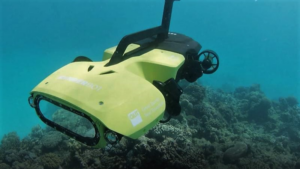 Un robot tueur pour sauver le corail