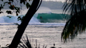 Tropical Call : une claque visuelle sur fond de surftrip