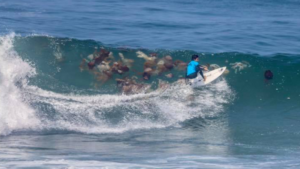 Une compétition de surf stoppée par des milliers de méduses