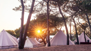 Au Portugal, un surfcamp original du côté de Porto