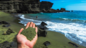 Créer des plages de sable vert pour sauver le climat