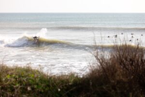 Découvrez le Pays de Saint-Gilles-Croix-de-Vie : surfer et se ressourcer