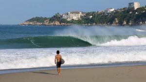 Été de dingo à Puerto Escondido